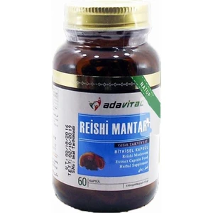Reishi Mantarı - 60 Kapsül