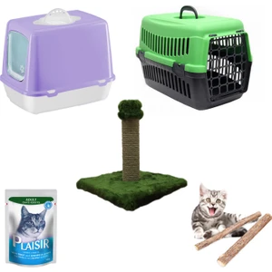 Kapalı Kedi Tuvaleti, Kedi Taşıma Çantası,Yaş Mama,Tırmalama