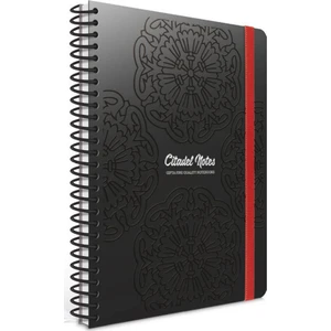 Citadel 6786 A4 80 Yaprak Spiralli Lastikli Plastik Kapak Kareli Defter