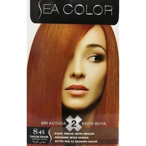 Sea Color 2 Li Saç Boyası 8-45