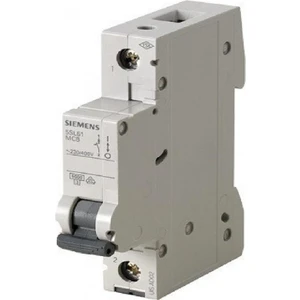 20 Amper C Tipi 6Ka 5Sl6120-7Ya Monofaze Otomat Sigorta
