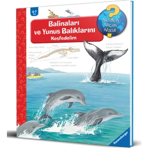 Mikado Yayınları Ravensburger Maksi Balinaları Ve Yunus Balıklarını Keşfedelim