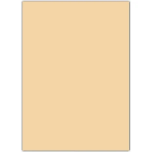 Fon Kartonu 50X70 Cm 100'Lü Paket Ten Rengi