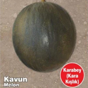 Ev Ve Bahçe Karabey Kışlık Kavun Tohumu (100 Tohum)