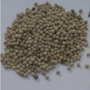 Ev Ve Bahçe Doğal Beyaz Karabiber Tohumu (20 Tohum)