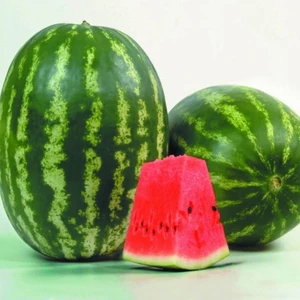 Ev Ve Bahçe Crimson Sweet Karpuz Tohumu (20 Tohum)
