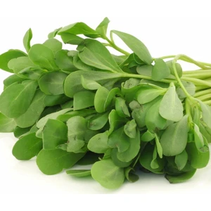 Ev Ve Bahçe Toros Nazlısı Semizotu Tohumu (100 Tohum)