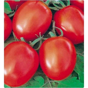 Ev Ve Bahçe Rio Grande Domates Tohumu (100 Tohum)