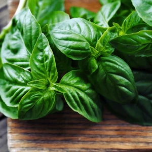 Ev Ve Bahçe Limon Kokulu Fesleğen Tohumu (100 Tohum)