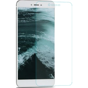 Reeder P10 Nano Cam Ekran Koruyucu