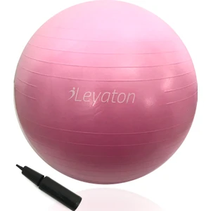 Büyük Boy Pilates Topu 65 Cm Pompa Hediyeli