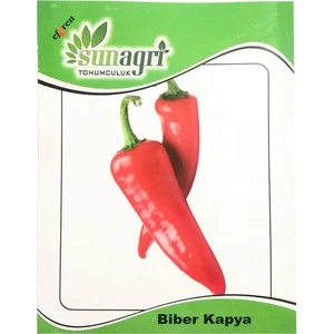 Salçalık Yağlık Kapya Biber Tohumu (10 Gr.)