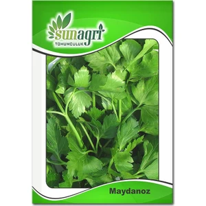 Maydonoz Tohumu (10 Gr.)