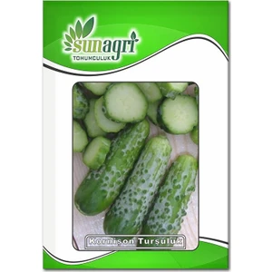 Kornişon Salatalık Tohumu Turşuluk (3 Gr.)