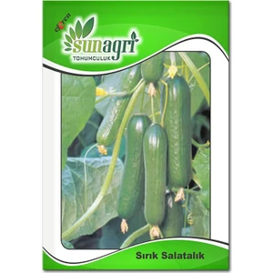 Beith Alpha Salatalık Tohumu - 5 gr