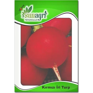 Kırmızı İri Yuvarlak Turp Tohumu (10 Gr.)