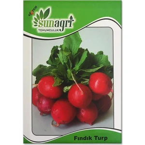 Sırık Salatalık Tohumu (30 Adet)