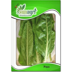 Pazı Tohumu (10 Gr.)