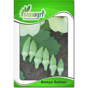 Bamya Tohumu (10 Gr.)