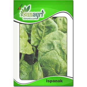 Ispanak Tohumu (10 Gr.)