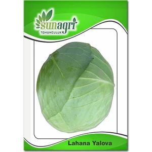 Yalova Lahana Tohumu (10 Gr.)