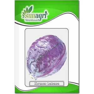 Kırmızı Lahana Tohumu (10 Gr.)