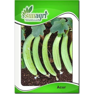 Acur Tohumu (10 Gr.)