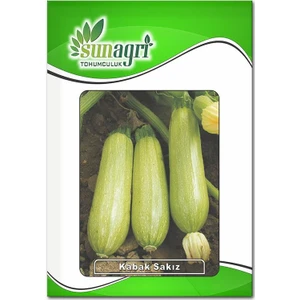 Beyaz Sakız Kabak Tohumu (10 Gr.)