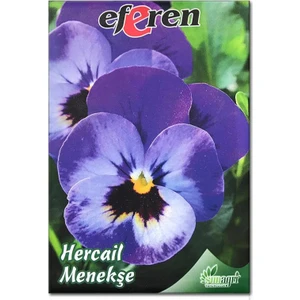 Hercai Menekşe Çiçek Tohumu