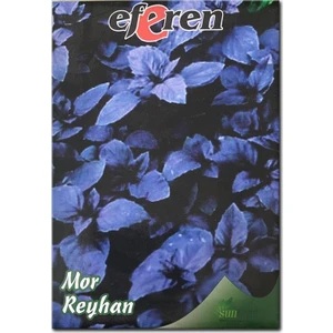 Mor Reyhan Fesleğen Tohumu