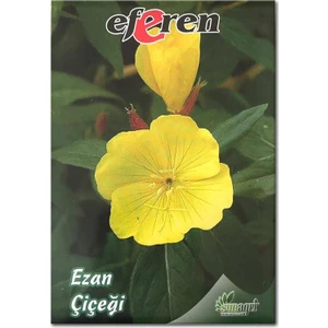 Ezan Çiçeği Tohumu