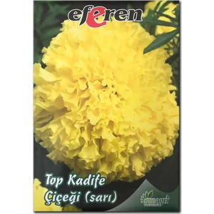 Sarı Top Kadife Çiçeği Tohumu