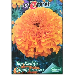 Turuncu Top Kadife Çiçeği Tohumu