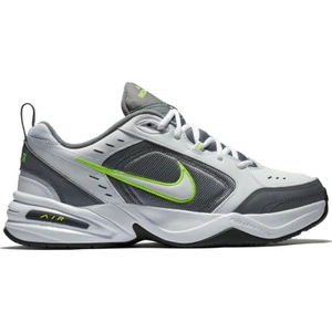 Air Monarch İv Erkek Ayakkabı 415445-100