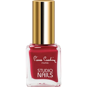 Pierre Cardin Studio Nails Oje 046
