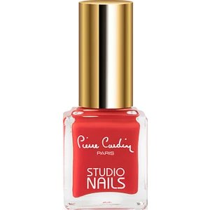 Pierre Cardin Studio Nails Oje 047