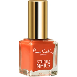 Pierre Cardin Studio Nails 059