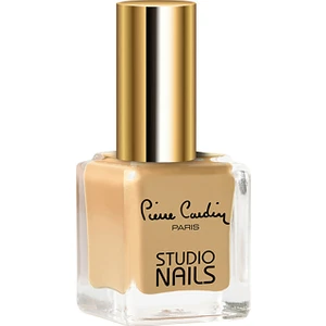 Pierre Cardin Studio Nails 065