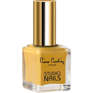 Pierre Cardin Studio Nails 066