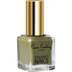 Pierre Cardin Studio Nails 067