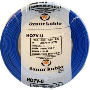 Kablo 10 Mm Nya Mavi 10 Metre