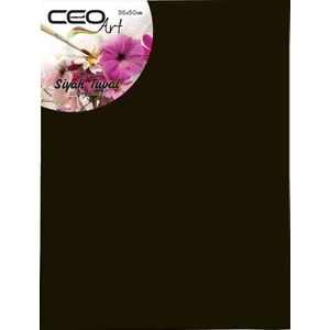 Ceo Art Tuval Siyah 35*50  Ceo-0009