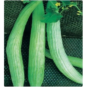 Acar Acur Tohumu -  100 G