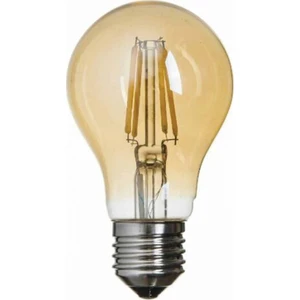 Led 6W Filament Bulb Ampul