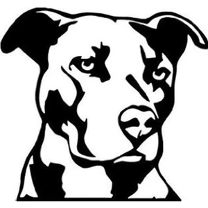 Areksan Sert Bakışlı Köpek Sticker
