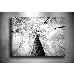 Tablocenter Dekoratif Kanvas Tablo 30 x 40 cm