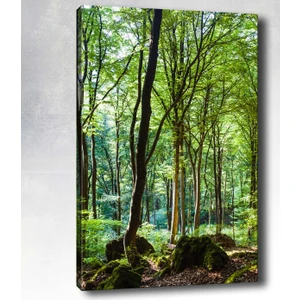 Tablocenter Manzara Kanvas Tablo 30 x 40 cm