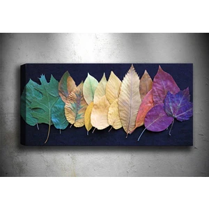 Tablocenter Çiçek Kanvas Tablo 30 x 90 cm