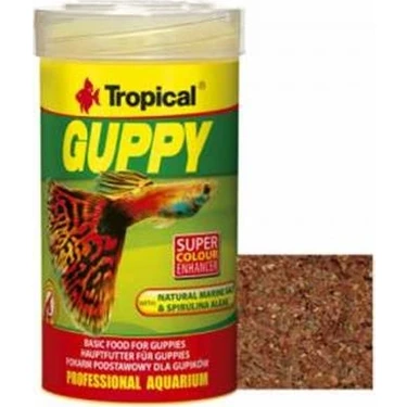 Tropical Guppy Lepistes İçin Pul Yem