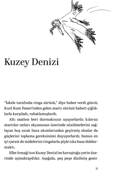 Martıya Uçmayı Öğreten Kedi - Luis Sepulveda